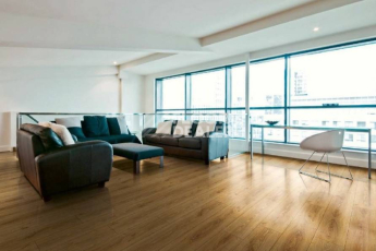 Falquon Blue Line Wood 8mm D2272 CANYON OLD BIRCH фото 2 | FLOORDEALER